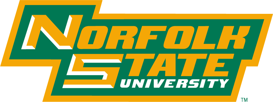 Norfolk State Spartans 1999-Pres Wordmark Logo v3 iron on transfers for T-shirts